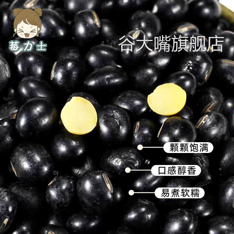 新货黄芯自产500g杂粮黑豆黄心豆豆类农家五谷非绿芯大自产包邮
