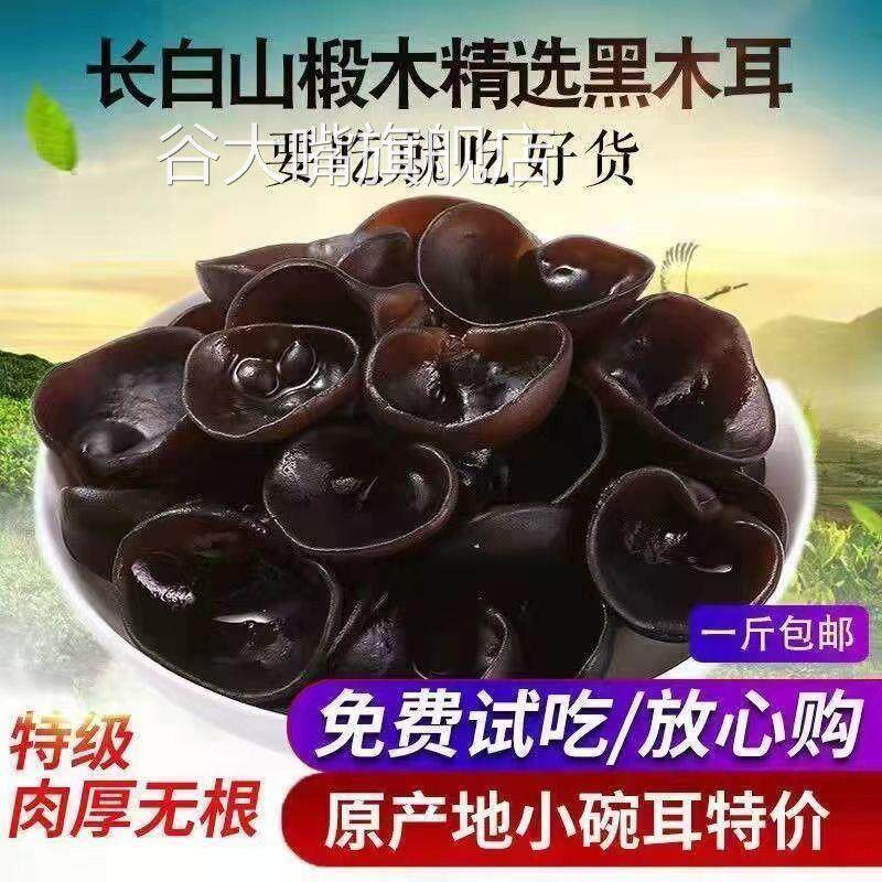 东北特产黑木耳干货500g克包邮特级秋木耳肉厚无根小碗耳新货包邮