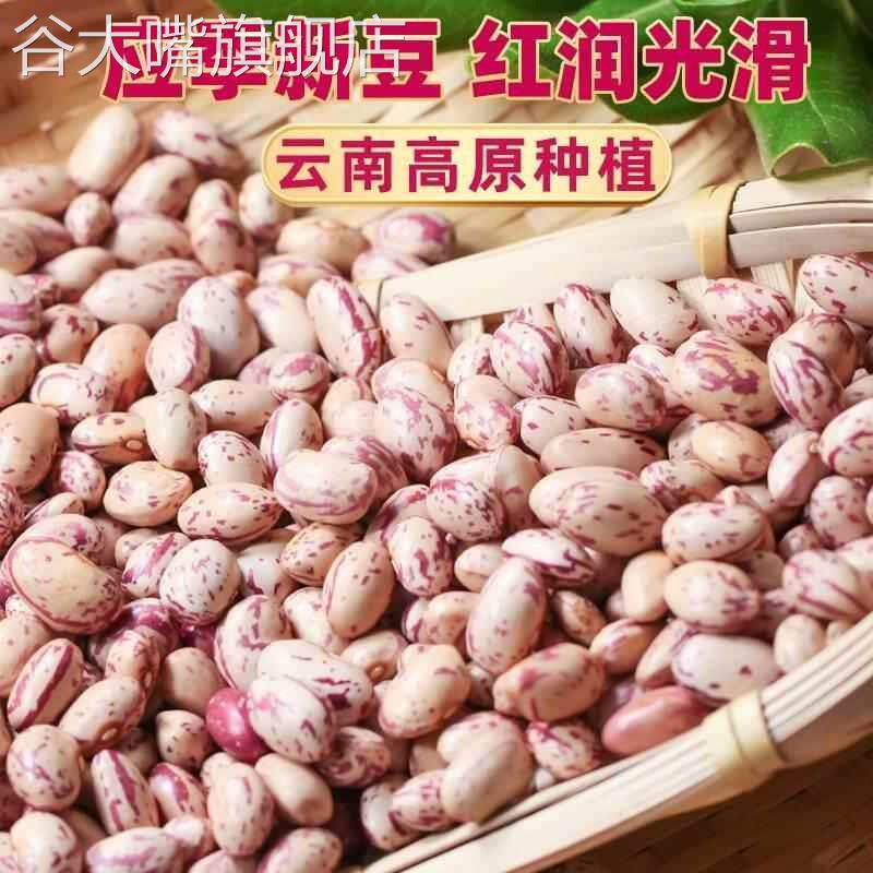 贵州新货熊猫豆雀蛋豆奶花芸豆新货新鲜四季豆米麻雀豆饭云豆类