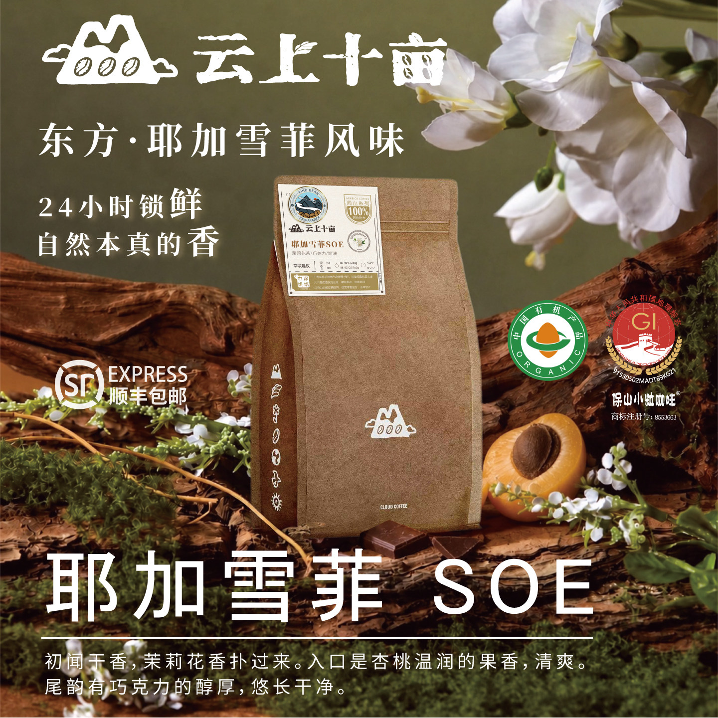 云上十亩 东方耶加雪菲SOE有机咖啡豆 意式浓缩新鲜烘焙 可现磨粉