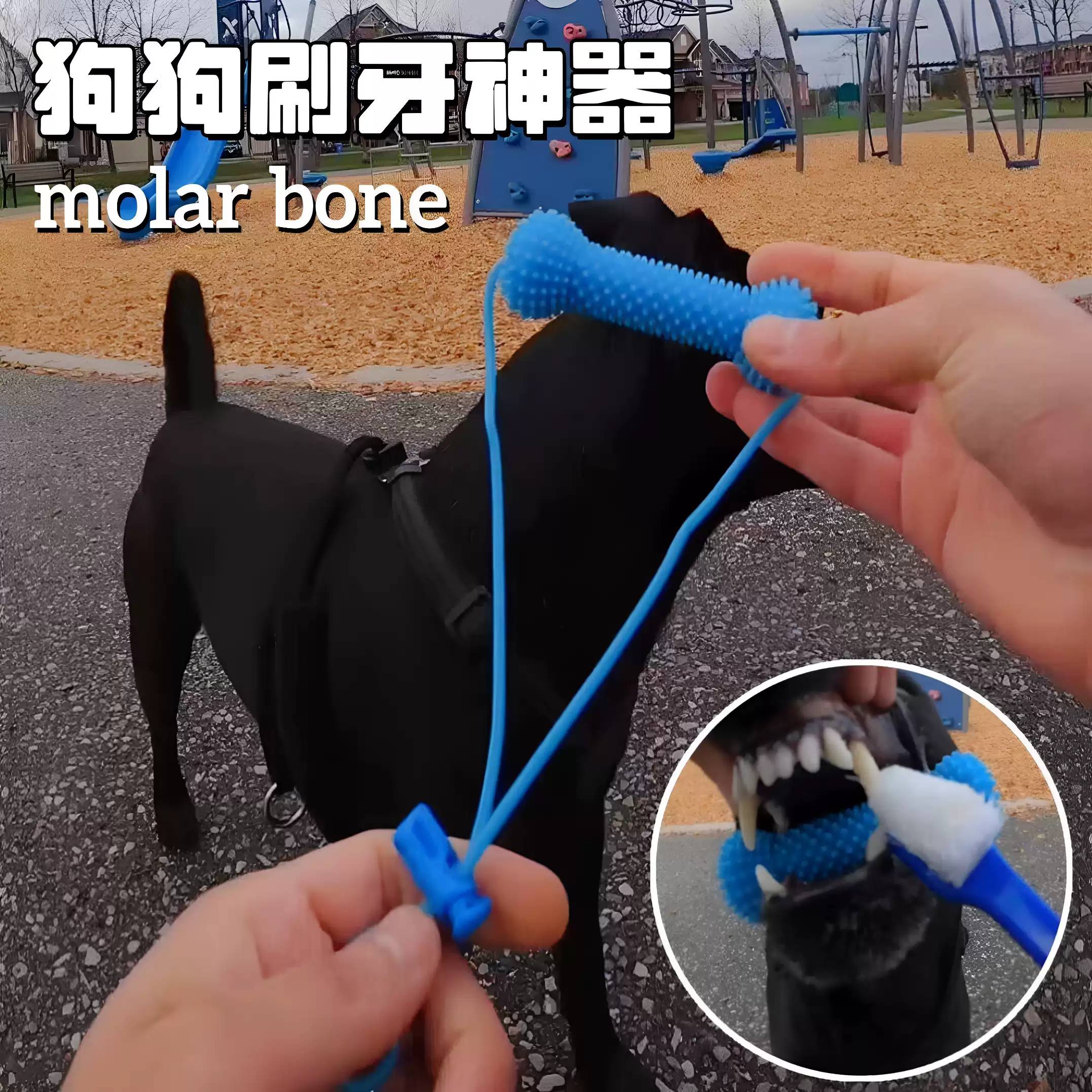 狗狗刷牙神器吸盘拉绳磨牙棒猫咪
