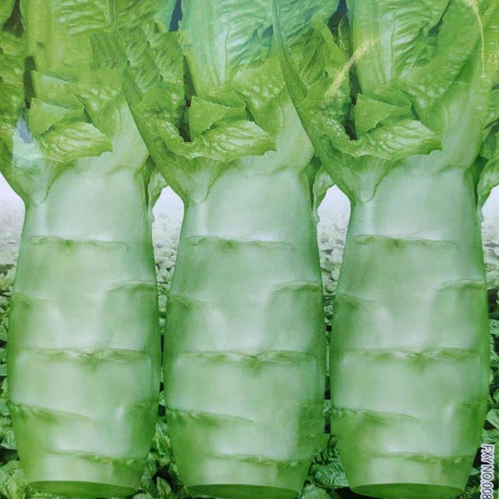 大头莴笋种子高产耐寒白皮绿肉莴苣四季春秋冬蔬菜种子,农用物资,蔬菜种子/种苗,淘宝优惠券,粉丝福利购,淘宝优惠卷