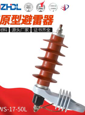 厂家销售10kV电站型避雷器HY5WS-17-50L带脱离器高原型避雷器