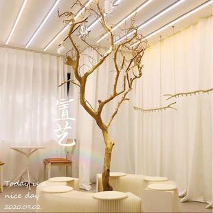 原木树枝干树枝 去皮树枝 室内造型树枝枯树枝装饰 树枝造景 橱窗