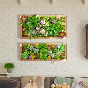 30X80彷真多肉绿植框壁挂 北欧现代绿植墙立体壁饰高彷植物墙装饰