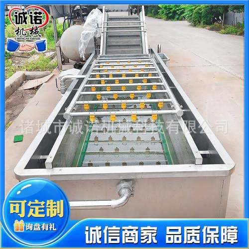 全自动辣椒线椒清洗机果蔬气泡清洗机食堂净菜加工喷淋设备