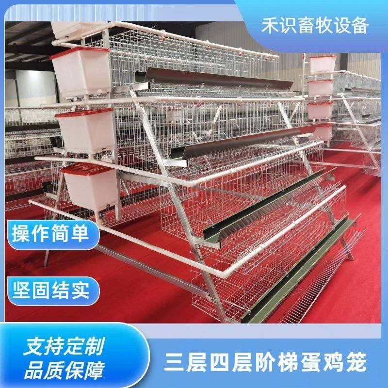 阶梯鸡笼架子鸡舍养鸡镀锌丝养殖设备三四层蛋鸡笼多层式养殖设备,畜牧/养殖物资,特种养殖设备,淘宝优惠券,粉丝福利购,淘宝优惠卷