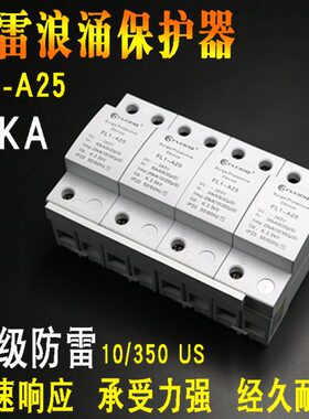 电涌保护器 15KA 25KA 35KA 50KA 一级防雷 2P避雷器4P浪涌保护器
