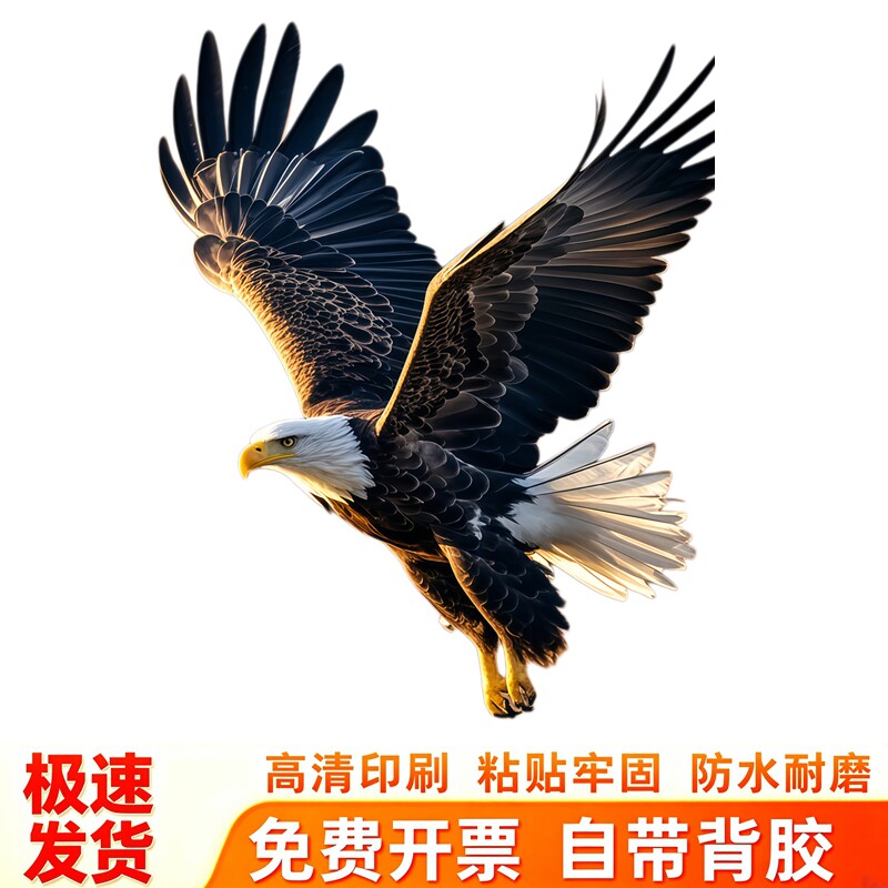 雄鹰展翅墙贴贴画自粘防水商铺办公室玄关个性墙面励志装饰贴纸画