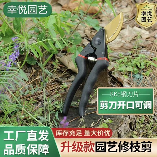 修枝剪园艺剪刀剪树枝剪刀园林修剪果树U修枝花艺修花剪