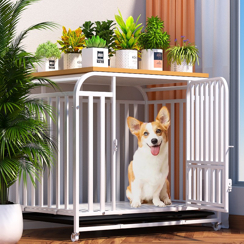 狗笼子中型犬大型犬全方管宠物笼带厕所室内家用边牧柯基金毛狗窝