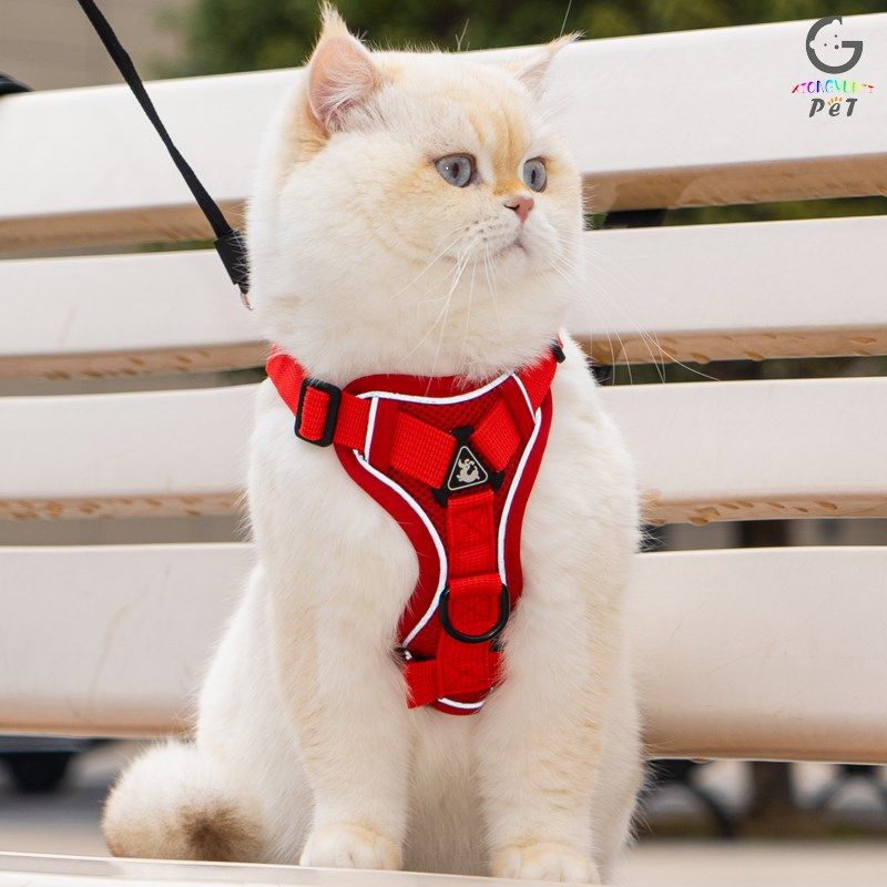猫咪牵引绳背心防挣脱外出专用遛猫绳宠物背带链子可调节遛猫神器,宠物/宠物食品及用品,猫牵引绳,淘宝优惠券,粉丝福利购,淘宝优惠卷