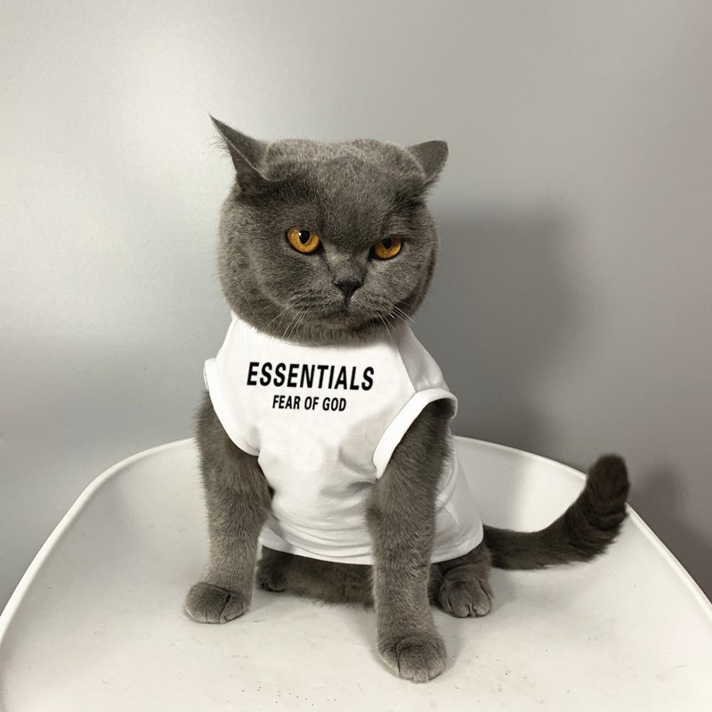 美式狗狗背心宠物猫咪比熊小型小狗衣服猫咪衣服夏季薄款防掉毛