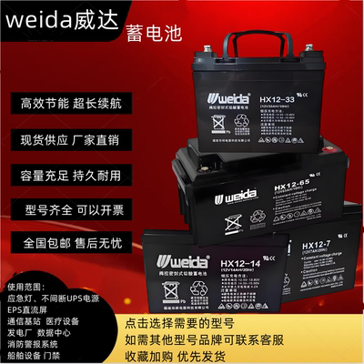 威达免维护蓄电池直流屏UPS/EPS