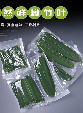 新鲜小竹叶摆盘粽叶装饰