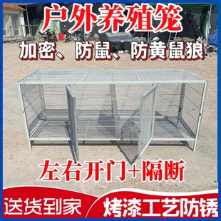 鸡笼家用室内f外铁丝钢网防鼠防黄鼠狼芦丁鸡特大号鸽子兔鸭养殖