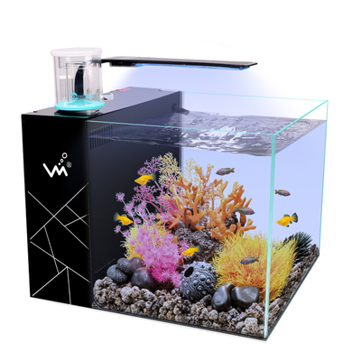 小型桌面客厅办公室超白玻璃生态水族箱小丑鱼背滤海水珊瑚水母缸