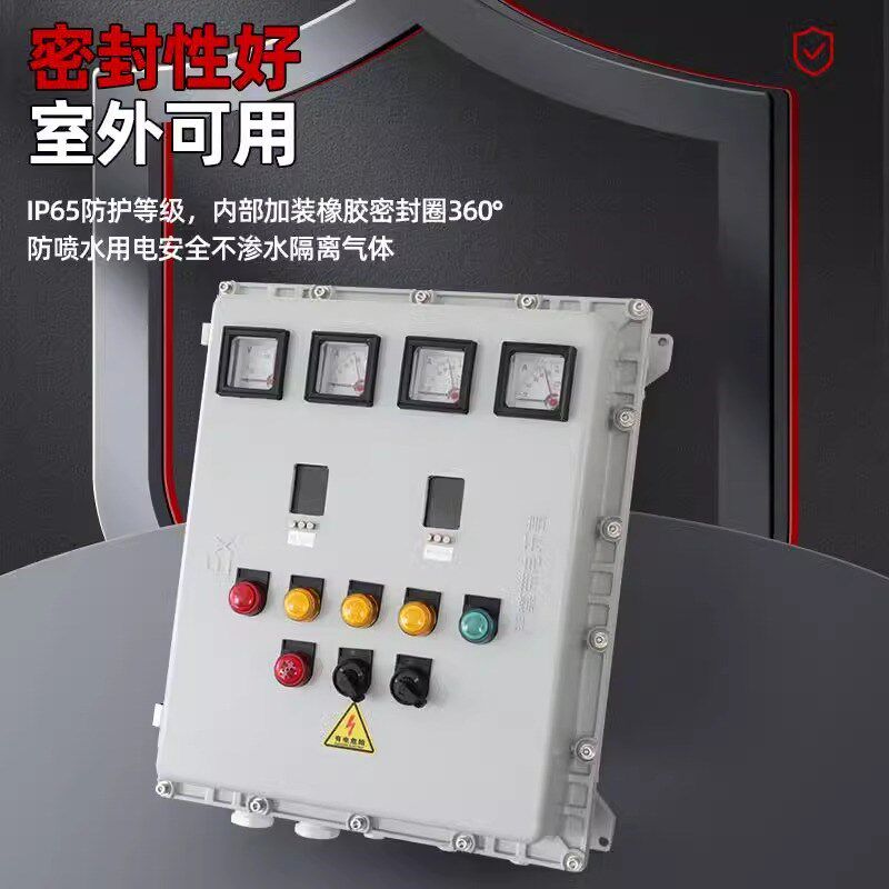 防爆仪表箱透明视窗带按键控制箱接线箱防爆配电箱铸铝温控箱定制