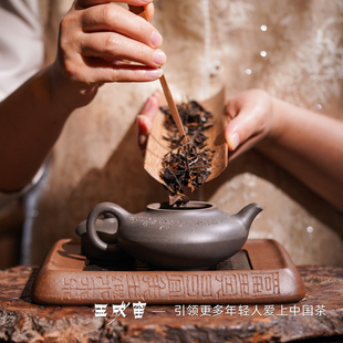 玉成窑非遗正宗宜兴原矿紫砂壶收藏高端茶具手工泡茶壶合欢壶