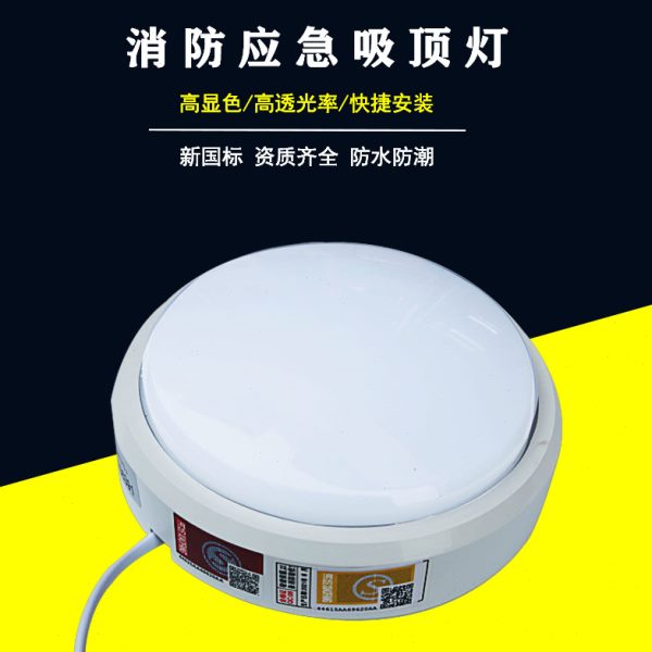 A型智能集中电源集中控制消防应急照明吸顶灯DC24V36V感应灯具