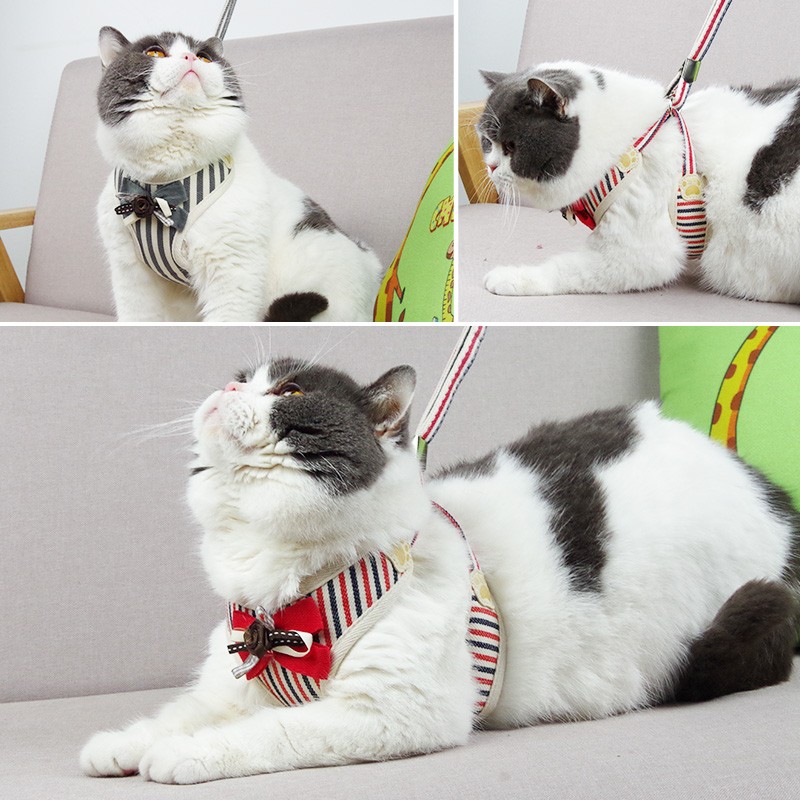 猫咪牵引绳溜猫背带链子小猫拴猫绳背心式防挣脱外出遛猫神器