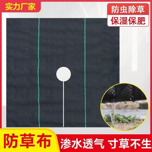 防草布切片打孔单片果园果树除z草布遮草盖草农用园艺地布透气透