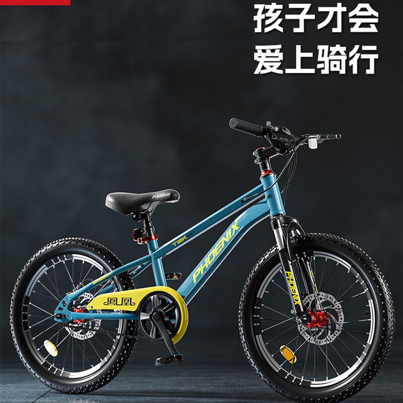 凤凰儿童自行车6到12-p10-15岁男女孩2025新款小学生专用山地单车