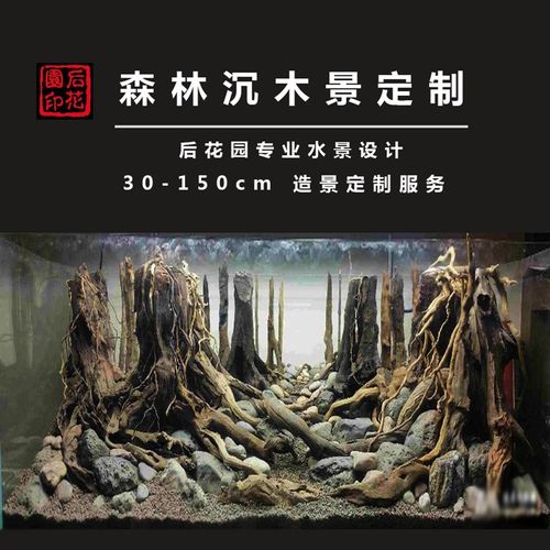 草缸造景a  造景套餐 造景 青龙石 沉木 后花园水族 雨林景定制