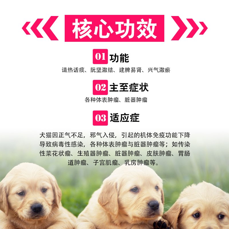 瘤历消大梆宠物狗狗猫咪体表脏器瘤肿菜花瘤子宫皮肤乳腺瘤瘤疠消