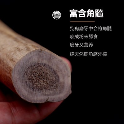 鹿角磨牙棒狗狗洁齿零食中小型犬磨牙幼犬泰迪柯基耐咬补钙除口臭