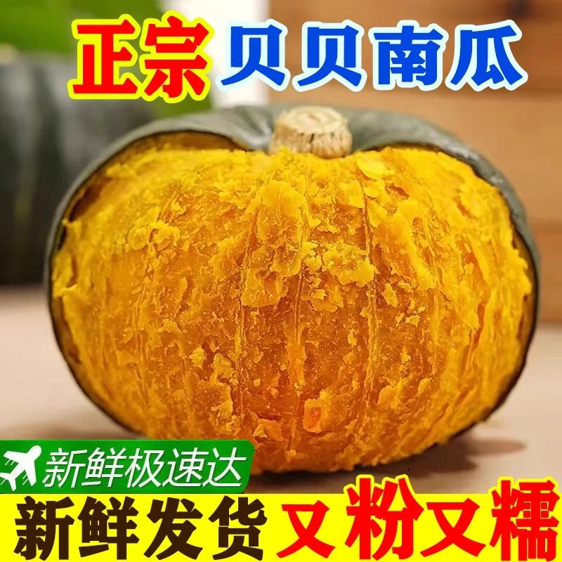 正宗贝贝南瓜板栗南瓜小南瓜宝宝辅食粉糯南瓜产地直发