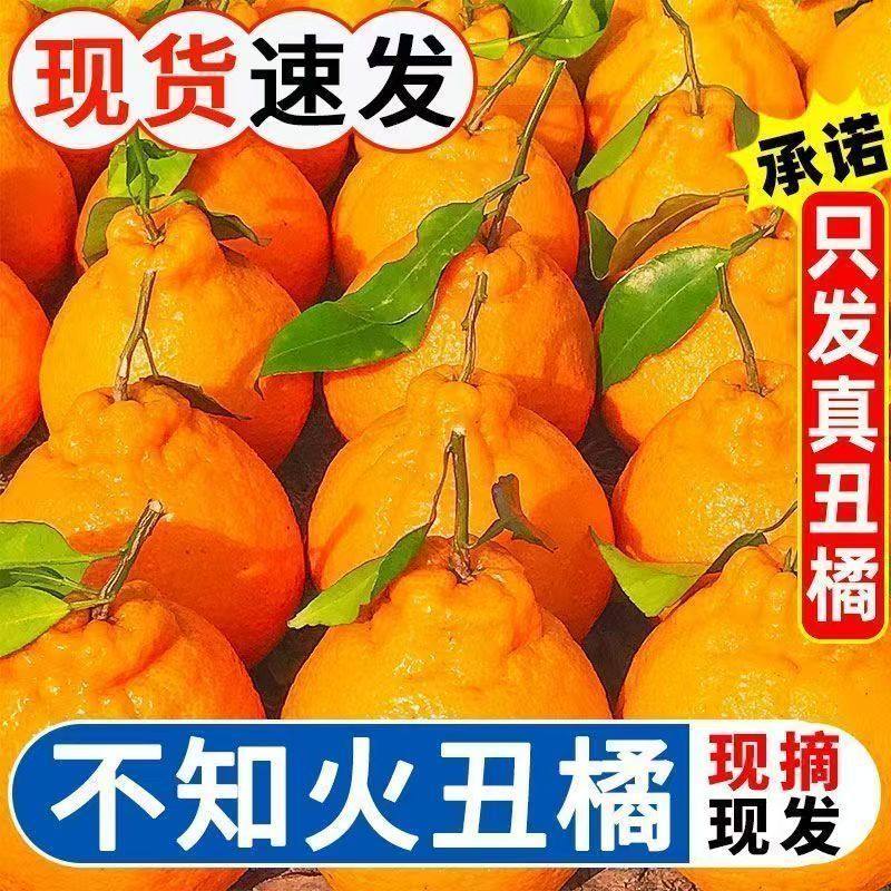 四川正宗丑橘不知火橘子柑桔新鲜水果现摘先发皮薄多汁丑桔,水产肉类/新鲜蔬果/熟食,桔子,淘宝优惠券,粉丝福利购,淘宝优惠卷