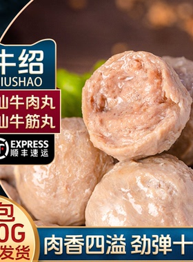 牛绍 顺丰2斤正宗潮汕牛肉丸汕头特产手工牛筋丸子火锅食材烧烤1