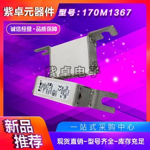 170M1322 170M1318 170M1321 170M1320 巴斯曼熔断器 170M1319