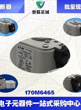 170M6464 170M6465 170M6466 170M6467现货巴斯曼熔断器