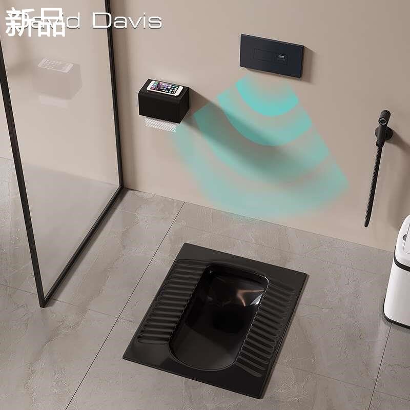 黑色嵌入式蹲坑家用隐藏式感应入暗水箱墙式装便池厕所蹲厕蹲新品