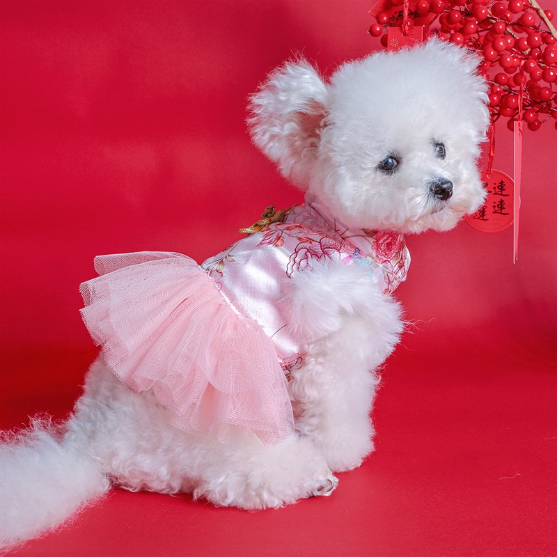 猫咪狗狗秋冬加绒保暖棉服新年防寒喜庆唐装裙子比熊博美泰迪衣服