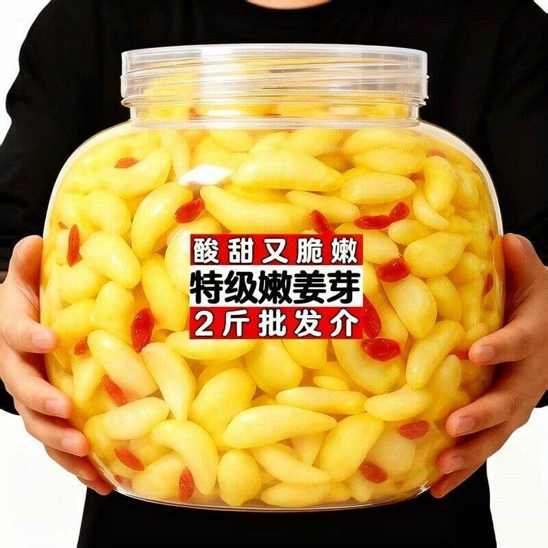 淄博枸杞泡姜芽泡莱嫩姜芽新鲜酸甜开胃腌制泡菜糖醋姜嫩生姜姜片