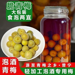 轻加工青梅鲜果泡酒专用精选大果鲜野生酸脆梅子青竹梅脆梅新水果