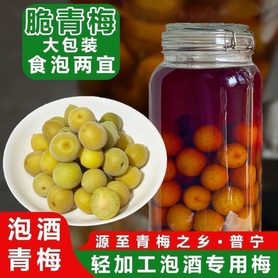 青竹梅青梅鲜果泡酒专用
