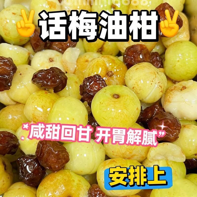 潮汕特产话梅油柑手工冰糖腌制休闲蜜饯开胃小零食解腻老少皆宜