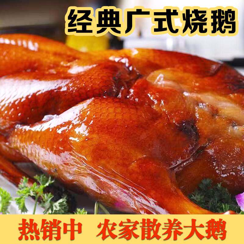 烧鹅烧鸭广式特产正宗港式深井脆皮烧鹅广东烤鸭送礼整只熟食