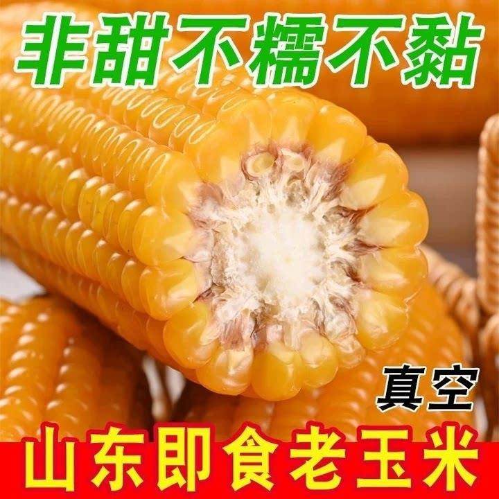 真空传统老式笨玉米即食根山东农家免蒸煮熟西沂州代餐健身食品