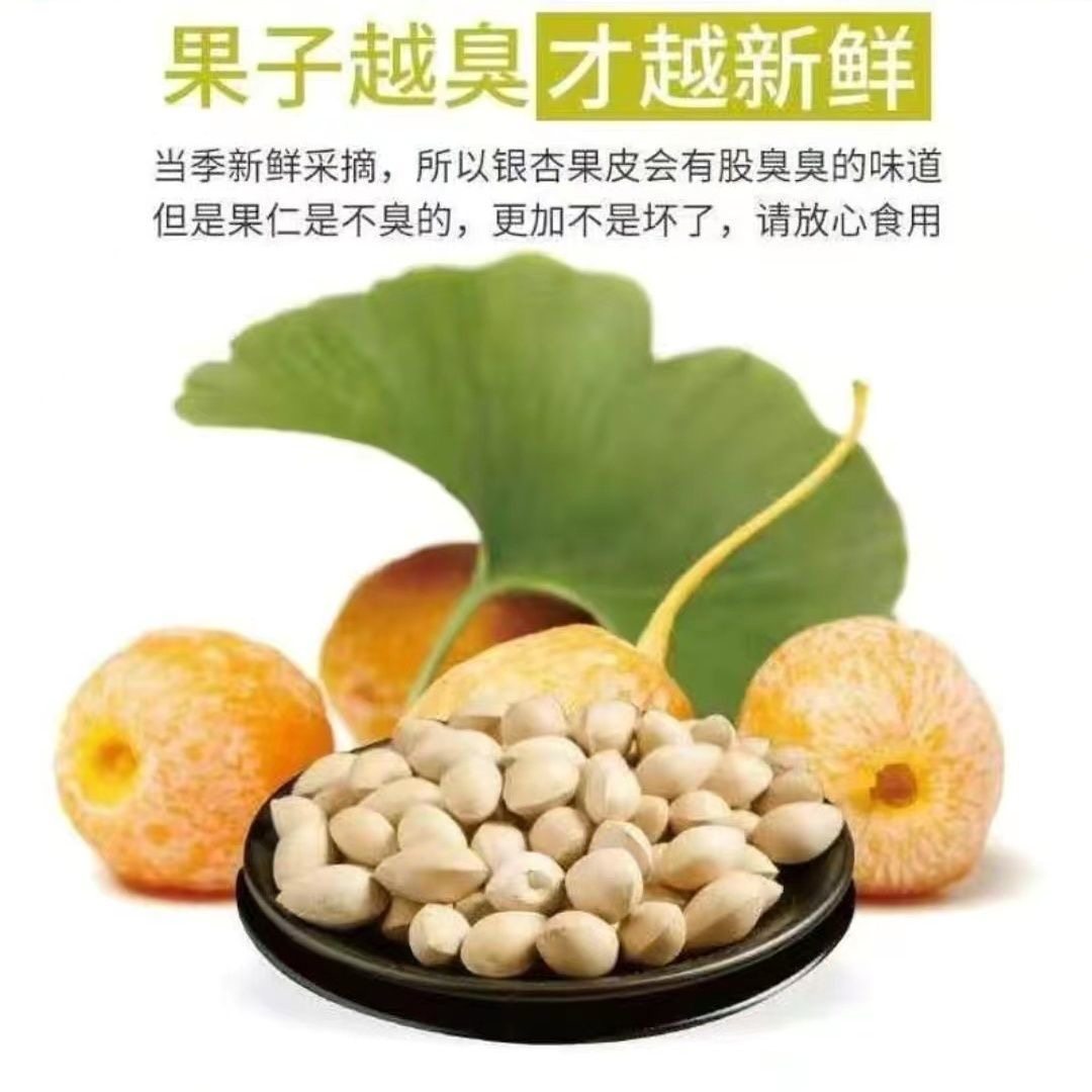 精选生银杏果新鲜特级银杏树大果当年鲜白果银杏果生白果新鲜白果