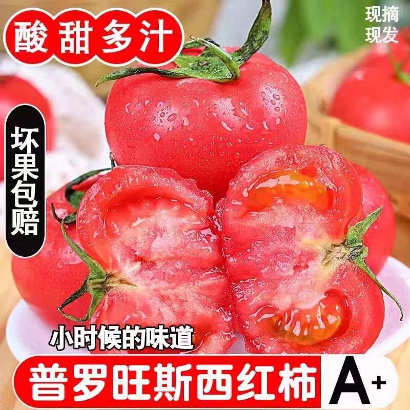 陕西泾阳普罗旺斯水果西红柿沙瓤