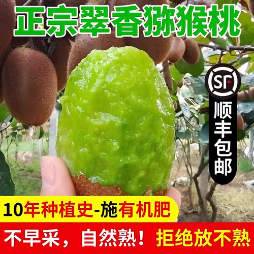 【顺丰包邮】陕西正宗绿心翠香猕猴桃奇异果新鲜应季孕妇水果礼盒