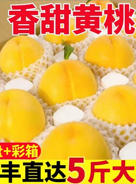 顺丰陕西礼泉黄金蜜水蜜桃5斤