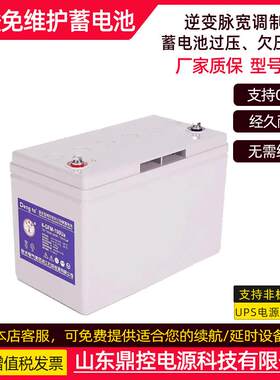 卧龙Denga灯塔牌TGMJ-232400体铅酸蓄电池2V200AHF风电厂ID胶C升