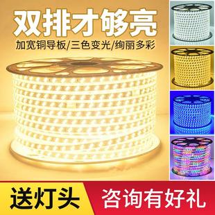 饰220V软灯条户外超亮防水霓虹 灯带led超亮家用客厅吊顶装