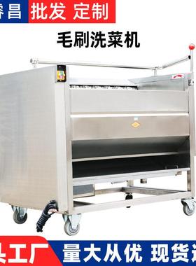 土豆去皮机脱皮机商用洗菜机木薯洋葱去皮机毛刷毛辊清洗机